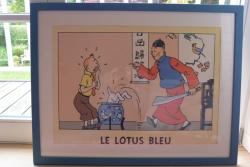 Tintin : Lotus bleu