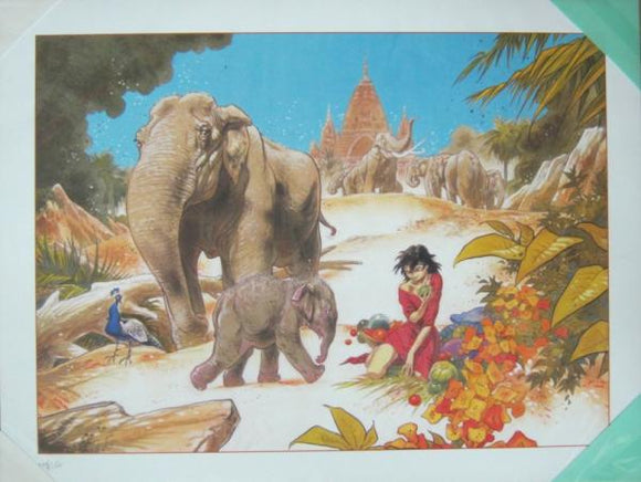 affiche FRANK Zoo - Les éléphants
