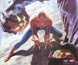 affiche ROSS Spiderman