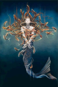 affiche WOLK Mermaid Metamorphosis