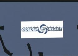 BUCHET /MALFIN :Golden Sillage (portfolio)